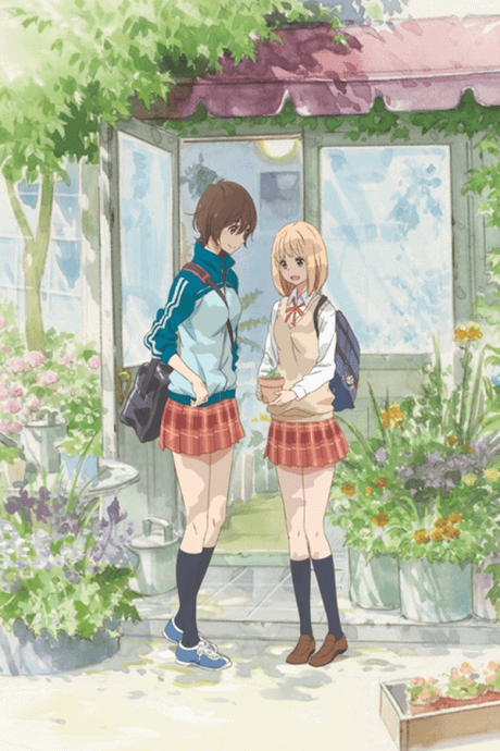 Asagao to Kase-san anime cover image